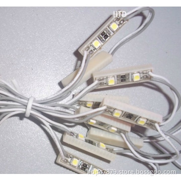 Waterproof 2LEDs 3528 SMD LED Modules